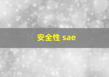 安全性 sae